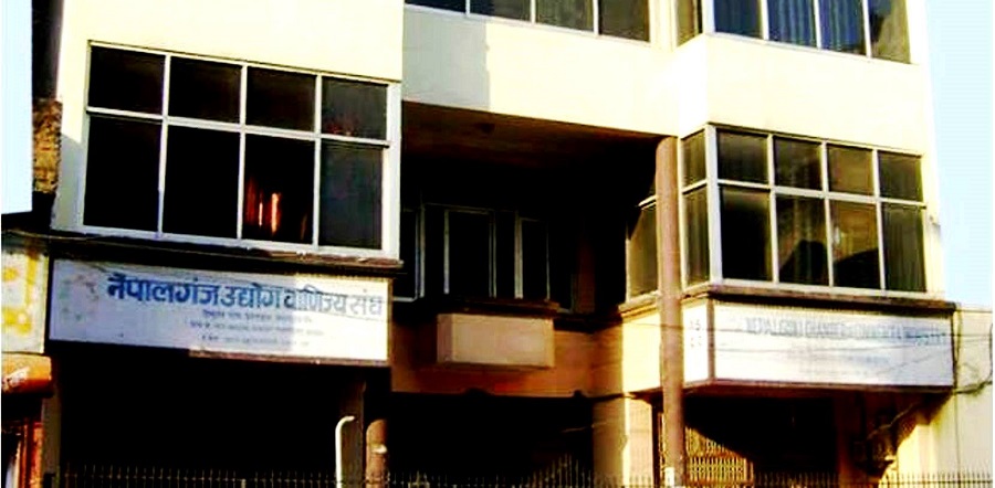 नेपालगञ्ज उद्योग वाणिज्य संघमा ओली निर्वाचित