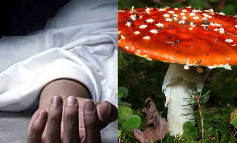 विषालु च्याउ खाँदा श्रीमानको मृत्यु श्रीमती गम्भिर घाइते