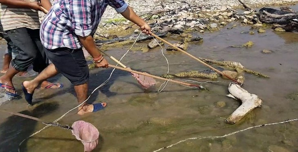 करेन्ट लगाएर माछा मार्न खोज्दा आफै बिते