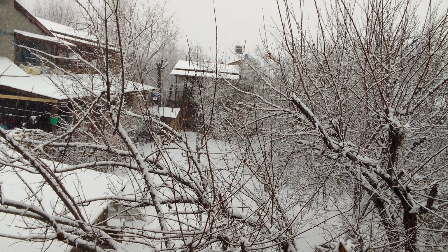 हुम्लामा भारी हिमपात जनजीवन प्रभावित